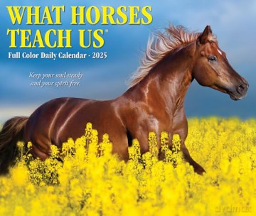 What Horses Teach Us 2025 Box [KSIĄŻKA]