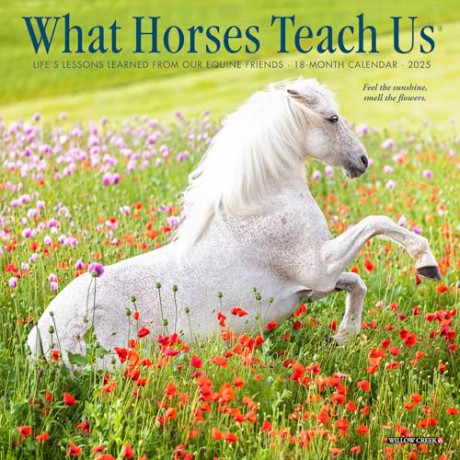 What Horses Teach Us 2025 Mini [KSIĄŻKA]