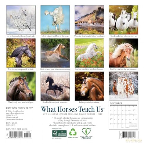 What Horses Teach Us 2025 Mini [KSIĄŻKA]