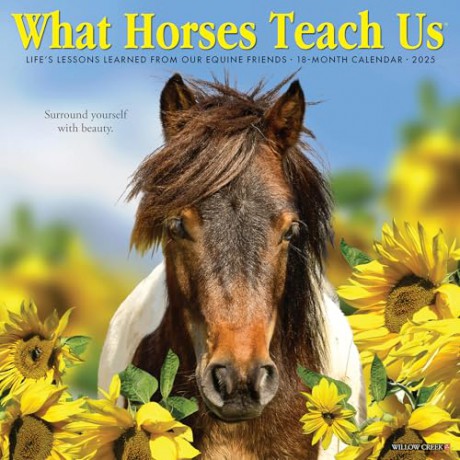 What Horses Teach Us 2025 Wall [KSIĄŻKA]
