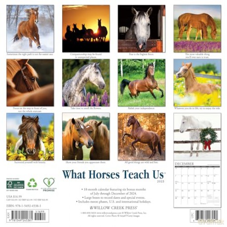 What Horses Teach Us 2025 Wall [KSIĄŻKA]