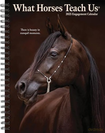 What Horses Teach Us Engagement 2025 [KSIĄŻKA]