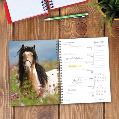 What Horses Teach Us Engagement 2025 [KSIĄŻKA]
