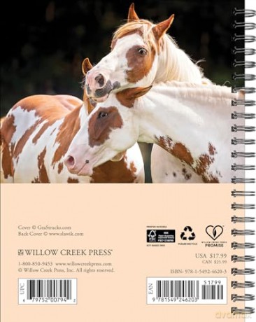 What Horses Teach Us Engagement 2025 [KSIĄŻKA]