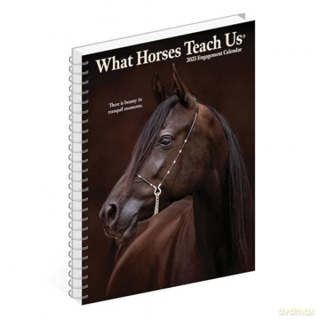 What Horses Teach Us Engagement 2025 [KSIĄŻKA]