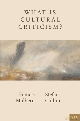 What Is Cultural Criticism - Francis Mulhern [KSIĄŻKA]