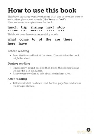 What is for lunch - Little Wandle high-low decodable reader for ages 7+ (Striders Phonics Readers) - Jilly Hunt [KSIĄŻKA]