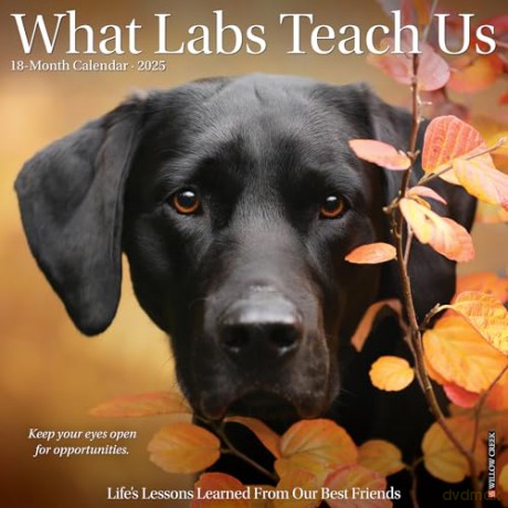 What Labs Teach Us 2025 Wall [KSIĄŻKA]