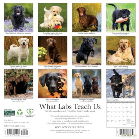 What Labs Teach Us 2025 Wall [KSIĄŻKA]