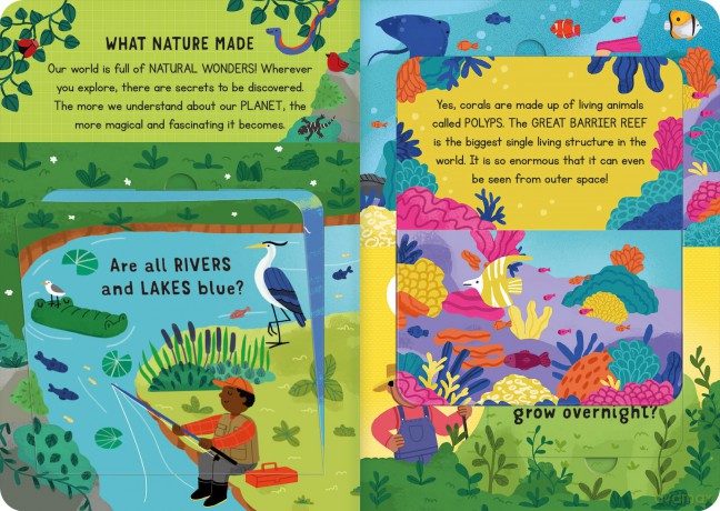 What Makes Our World so Very Special: and other questions (Mini Question and Answer Lift-the-Flap Books) - Rachel Moss [KSIĄŻKA]