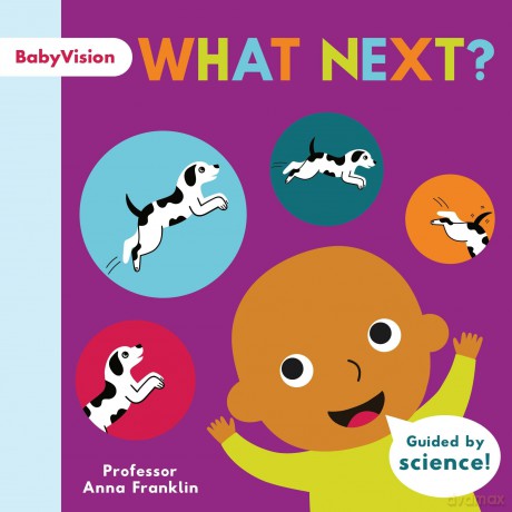 What Next (BabyVision, 1) - Anna Franklin [KSIĄŻKA]