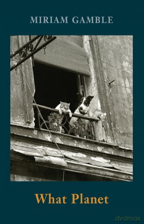 What Planet - Winner of the Pigott Poetry Prize - Miriam Gamble [KSIĄŻKA]