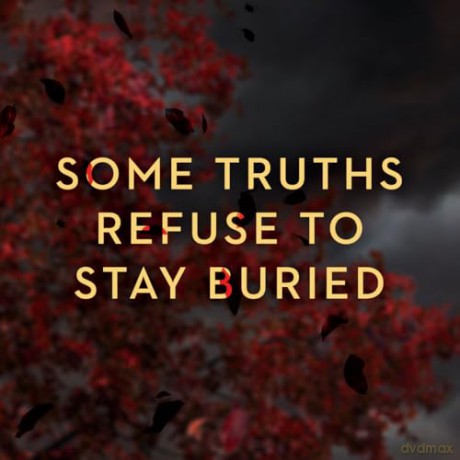 What We Hide: 1 (A Tupelo Grove Novel) - Colleen Coble [KSIĄŻKA]