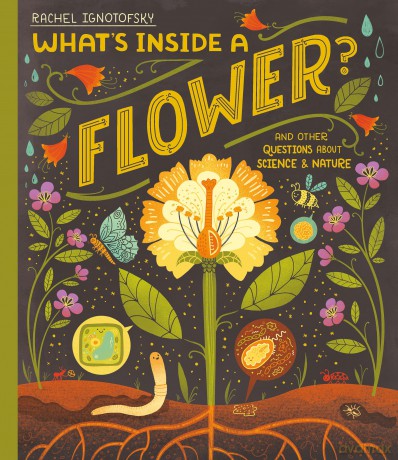 What's Inside a Flower: And other questions about science and nature - Rachel Ignotofsky [KSIĄŻKA]