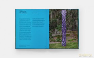 Where Art Meets Nature: The Sydney and Walda Besthoff Sculpture Garden - Monacelli Editors [KSIĄŻKA]