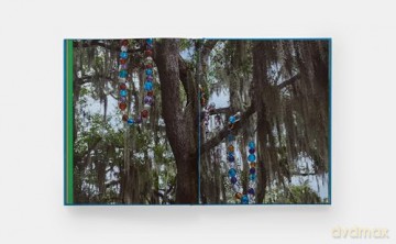 Where Art Meets Nature: The Sydney and Walda Besthoff Sculpture Garden - Monacelli Editors [KSIĄŻKA]
