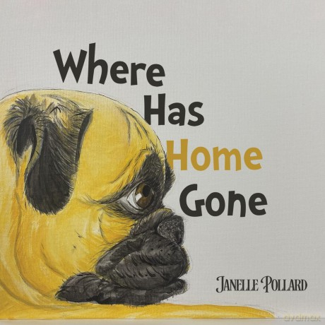 Where Has Home Gone - Janelle Pollard [KSIĄŻKA]