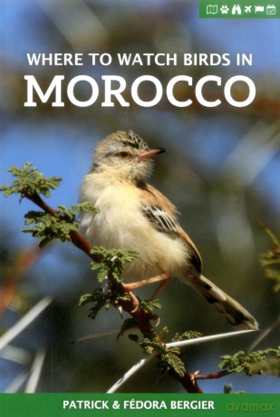 Where to Watch Birds in Morocco (Where to Watch Guides) - Patrick Bergier [KSIĄŻKA]