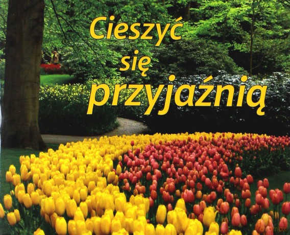 Perełka 003 - Cieszyć się przyjaźnią [KSĄŻKA]