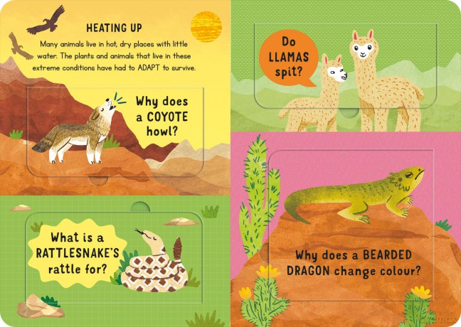 Which Animal Would Be a Good Friend: and other questions (Mini Question and Answer Lift-the-Flap Books) - Rachel Moss [KSIĄŻKA]