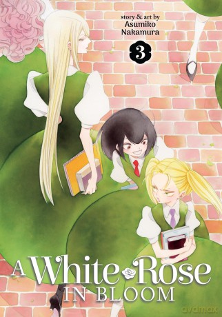 White Rose in Bloom Vol. 3, A (A White Rose in Bloom) - Asumiko [KSIĄŻKA]
