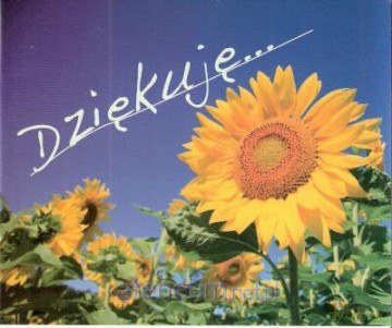 Perełka 023 - Dziękuję.... [KSĄŻKA]