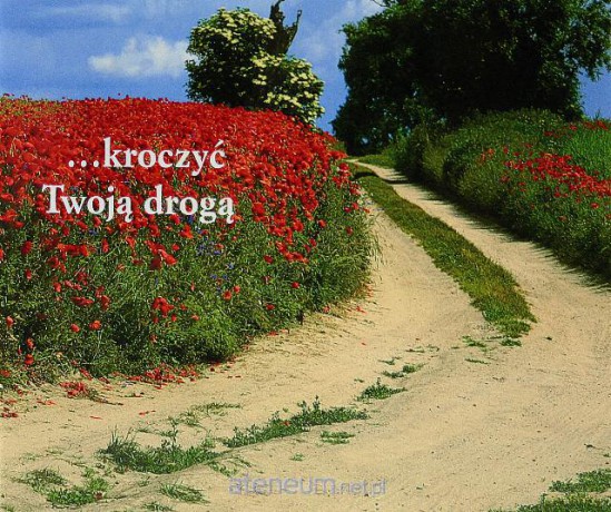 Perełka 058 - Kroczyć Twoją drogą [KSĄŻKA]
