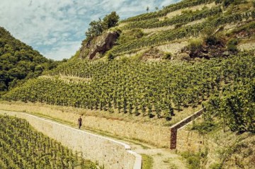 Who's Afraid of Romanée-Conti: A Shortcut to Drinking Great Wines - Dan Keeling [KSIĄŻKA]