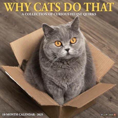 Why Cats Do That 2025 Wall [KSIĄŻKA]