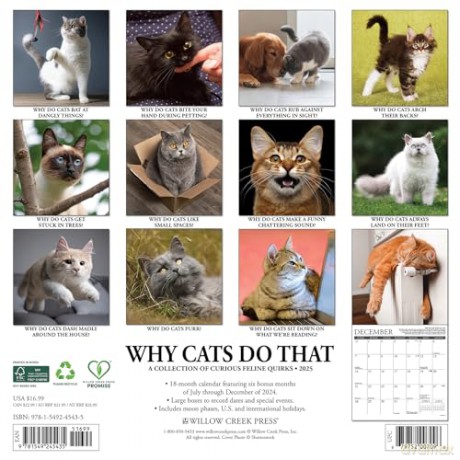 Why Cats Do That 2025 Wall [KSIĄŻKA]