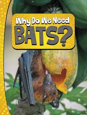 Why Do We Need Bats (Nature We Need) - Laura K. Murray [KSIĄŻKA]