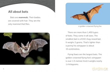 Why Do We Need Bats (Nature We Need) - Laura K. Murray [KSIĄŻKA]