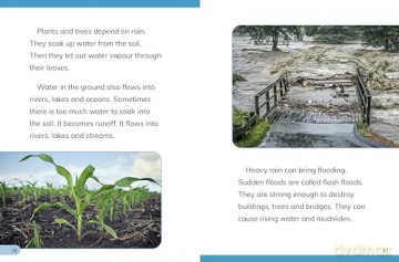 Why Do We Need Rain (Nature We Need) - Laura K. Murray [KSIĄŻKA]