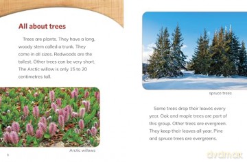 Why Do We Need Trees (Nature We Need) - Laura K. Murray [KSIĄŻKA]