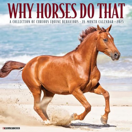 Why Horses Do That 2025 Wall [KSIĄŻKA]