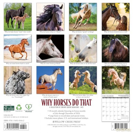 Why Horses Do That 2025 Wall [KSIĄŻKA]
