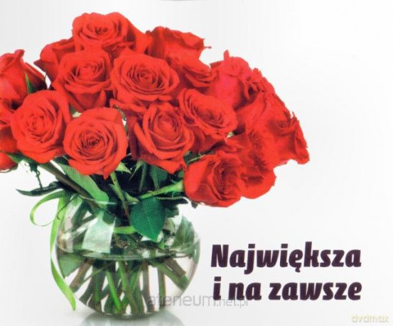 Perełka 088 - Największa i na zawsze [KSĄŻKA]