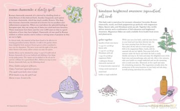 Wiccan Self-care Spells: Restorative rituals to ease stress, heal mind and body, and conjure contentment - Cerridwen Greenleaf [KSIĄŻKA]