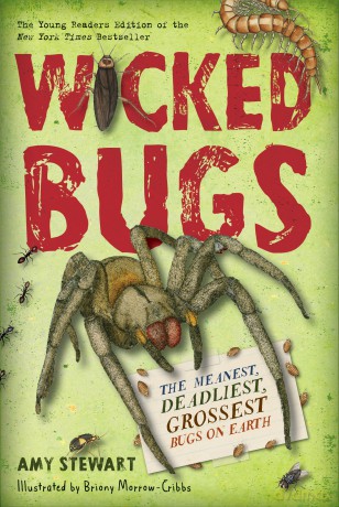Wicked Bugs (Young Readers Edition): The Meanest, Deadliest, Grossest Bugs on Earth - Amy Stewart [KSIĄŻKA]