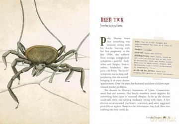 Wicked Bugs (Young Readers Edition): The Meanest, Deadliest, Grossest Bugs on Earth - Amy Stewart [KSIĄŻKA]