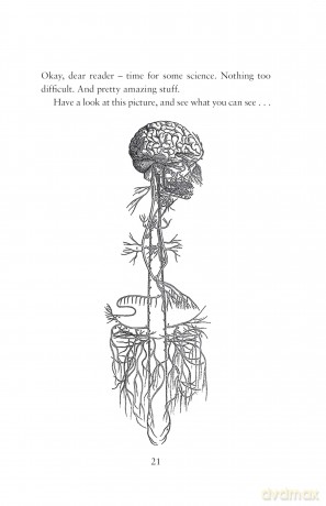 Wild Creature Mind: The Neuroscience Breakthrough that Helps You Transform Anxiety and Live a Fierce and Loving Life - Steve Biddulph [KSIĄŻKA]