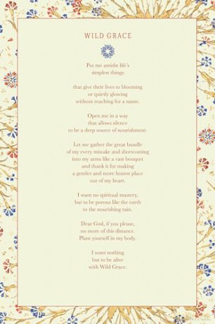 Wild Grace: Poems - Chelan Harkin [KSIĄŻKA]