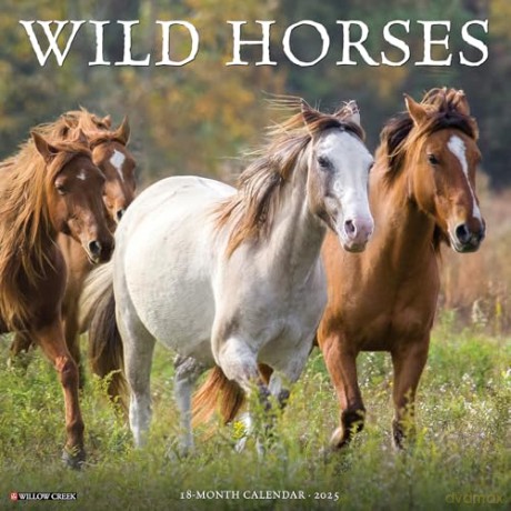 Wild Horses 2025 Wall [KSIĄŻKA]