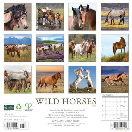 Wild Horses 2025 Wall [KSIĄŻKA]