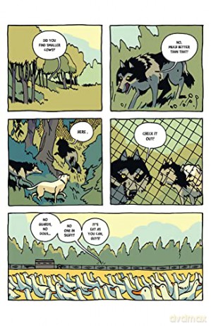 Wild Thing Or: My Life As A Wolf - Clayton Junior [KSIĄŻKA]