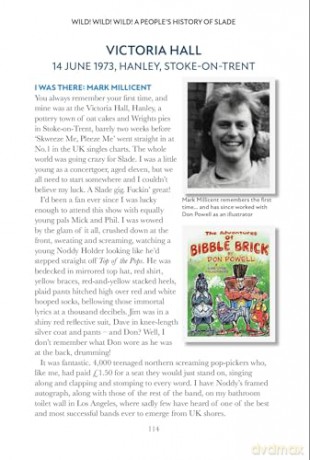 Wild! Wild Wild!: A People's History of Slade - Wyatt [KSIĄŻKA]