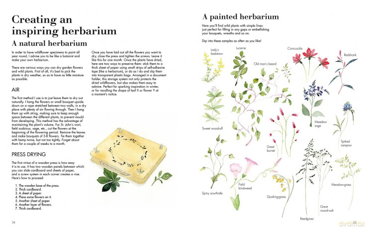 Wildflower Watercolour: Recognizing and Painting Nature - Gaëtane Nicoulin-Béchir [KSIĄŻKA]