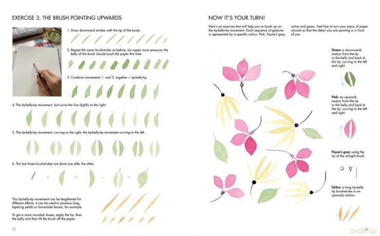 Wildflower Watercolour: Recognizing and Painting Nature - Gaëtane Nicoulin-Béchir [KSIĄŻKA]