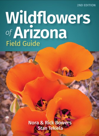 Wildflowers of Arizona Field Guide (Wildflower Identification Guides) - Nora Bowers [KSIĄŻKA]