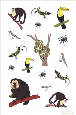 Wildlife Anatomy Sticker Book: A Julia Rothman Creation: More than 500 Stickers - Julia Rothman [KSIĄŻKA]